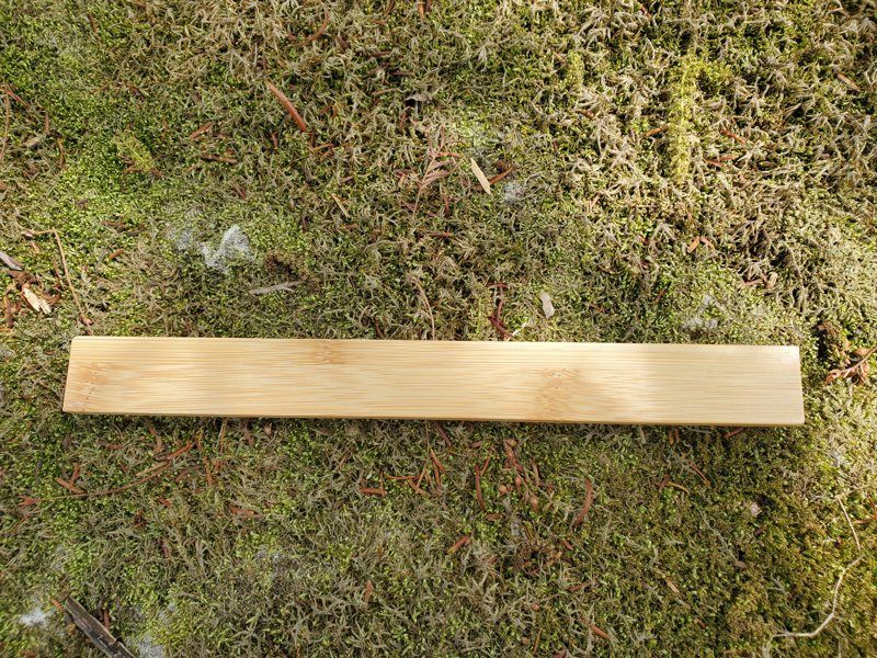 backside of bamboo incense holder on a mossy ground